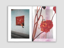 Load image into Gallery viewer, Flor de Jamaica by Jazmin Garcia