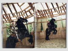 Load image into Gallery viewer, STUNT #2