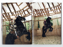 Load image into Gallery viewer, STUNT 2 [pre-order]
