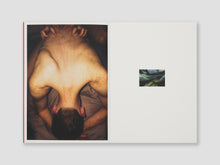 Load image into Gallery viewer, Somesuch Stories #8

