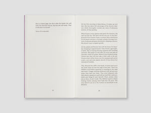 Use the Words You Have (Novel)