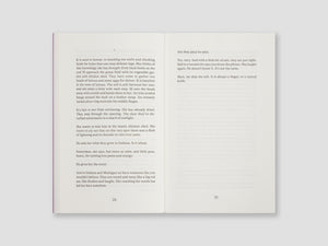 Use the Words You Have (Novel)