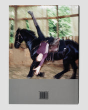 Load image into Gallery viewer, STUNT #2
