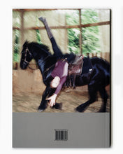 Load image into Gallery viewer, STUNT 2 [pre-order]

